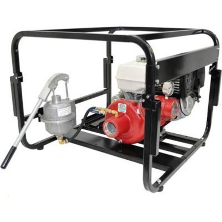 SPRINGER PUMPS IPT High Pressure/Fire Pump with Hand Prime Assist 25FP13ZR